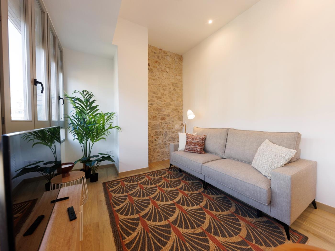 Pont Sant Agusti 2 - Apartament mensual a Girona | Bravissimo a Girona