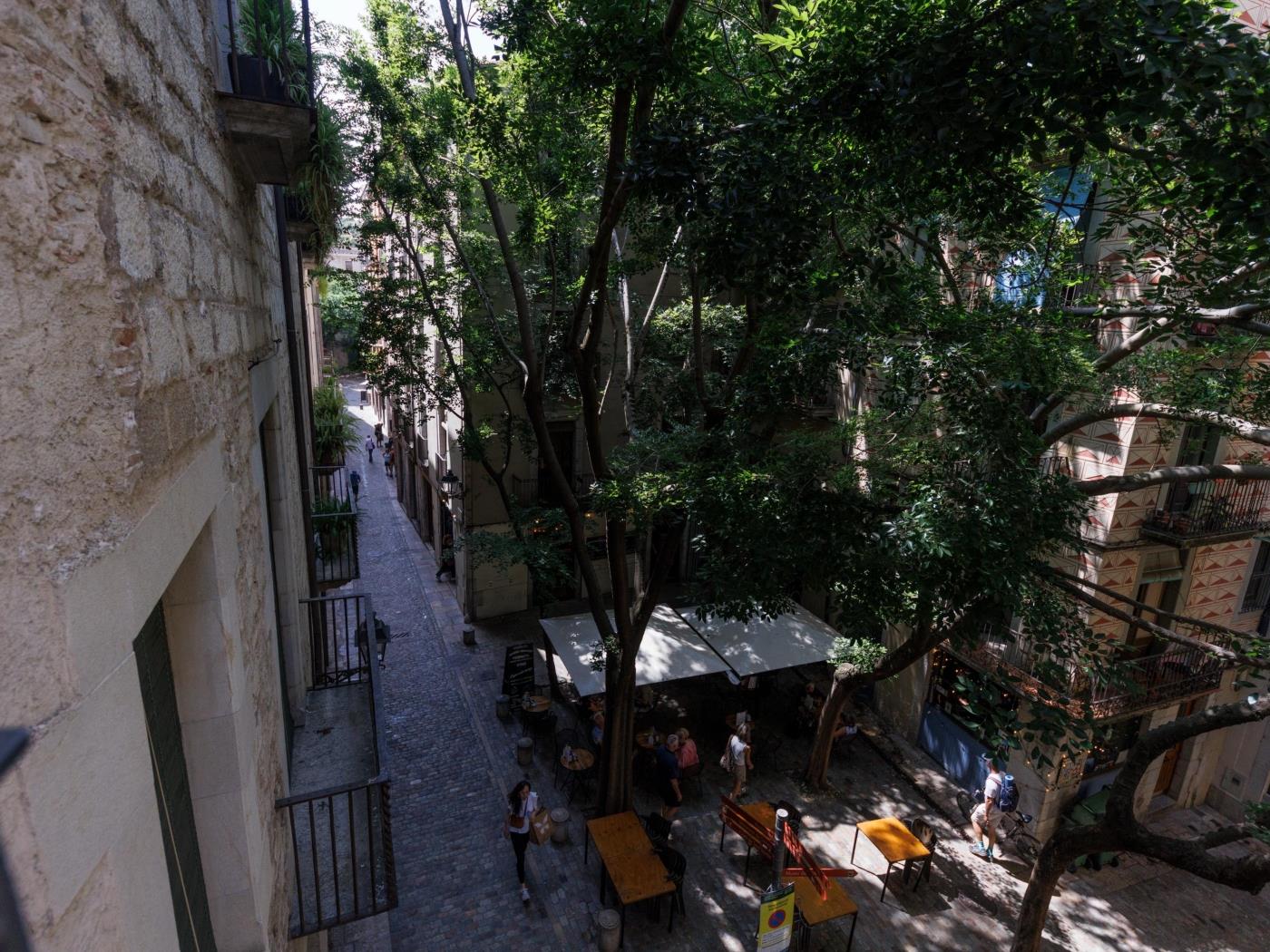 Vivaldi 3A - Monthly rent in Girona | Bravissimo in Girona