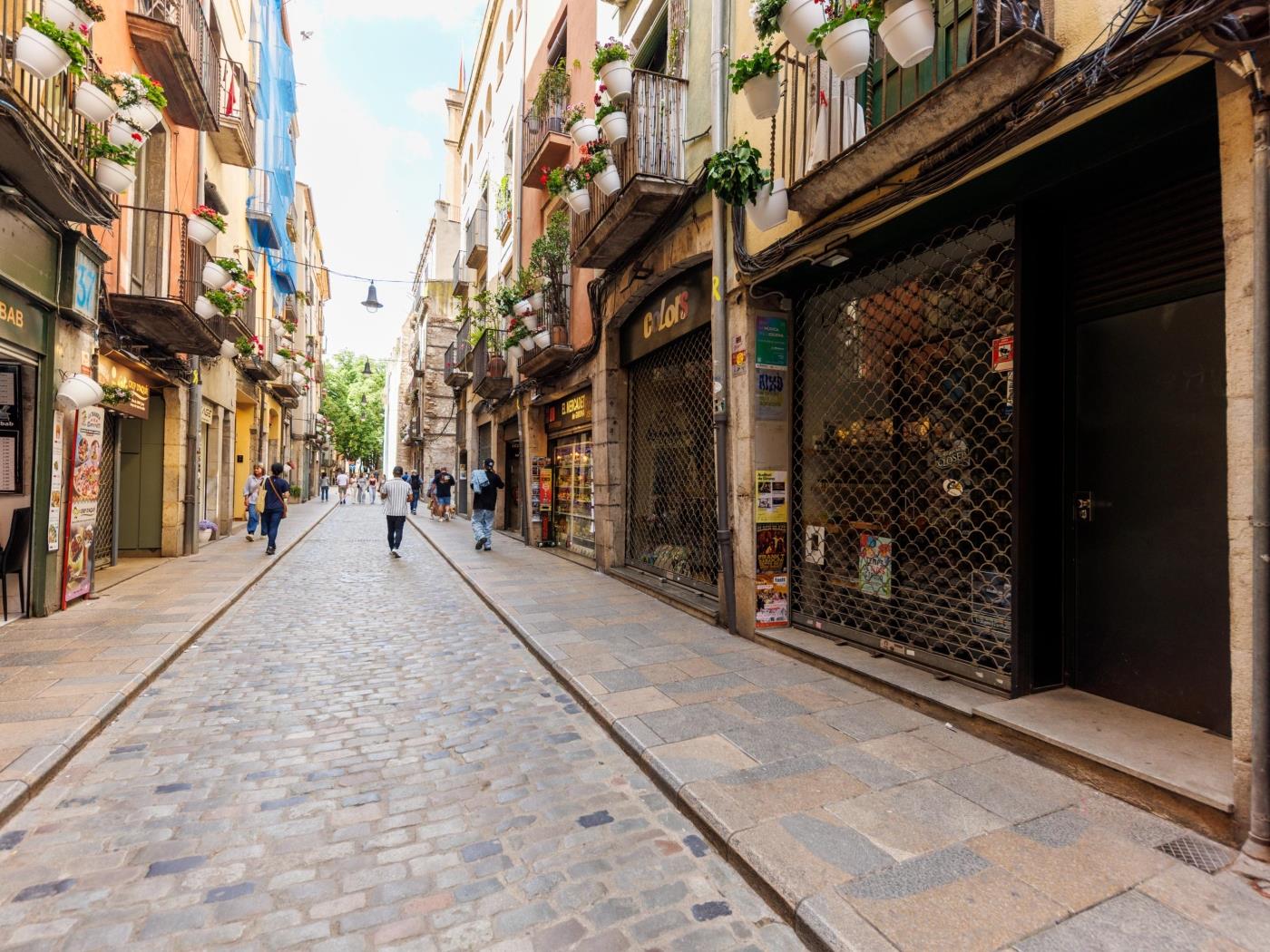Ballesteries 34 - Apartament de vacances a Girona | Bravissimo a Girona