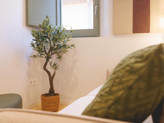 apartamentos ATA associacio Girona