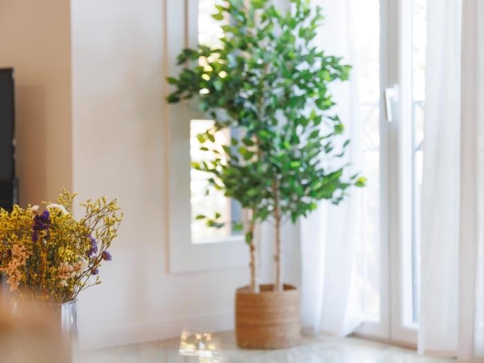 apartamentos ATA associacio Girona