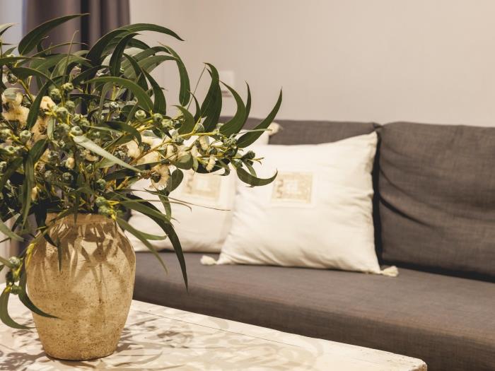 apartamentos ATA associacio Girona