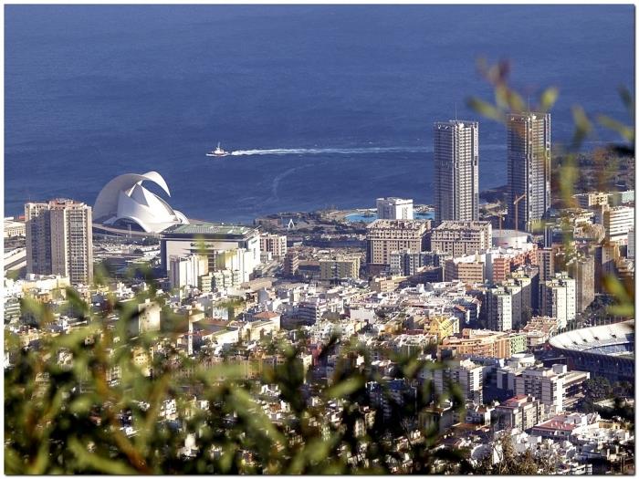 Live Santa Cruz Venezuela in Santa Cruz de Tenerife