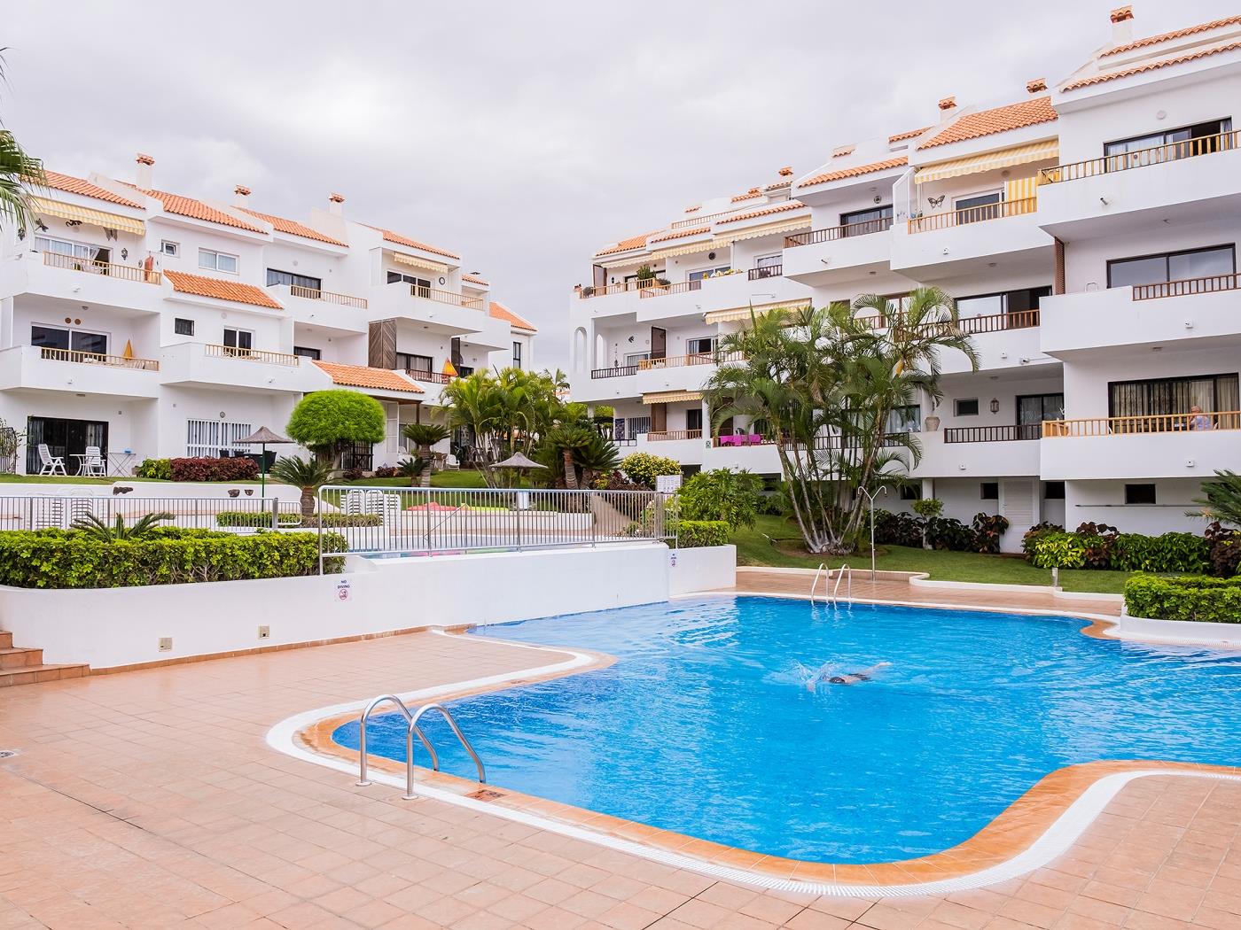 Live Los Cristianos Garden & Pool in Arona