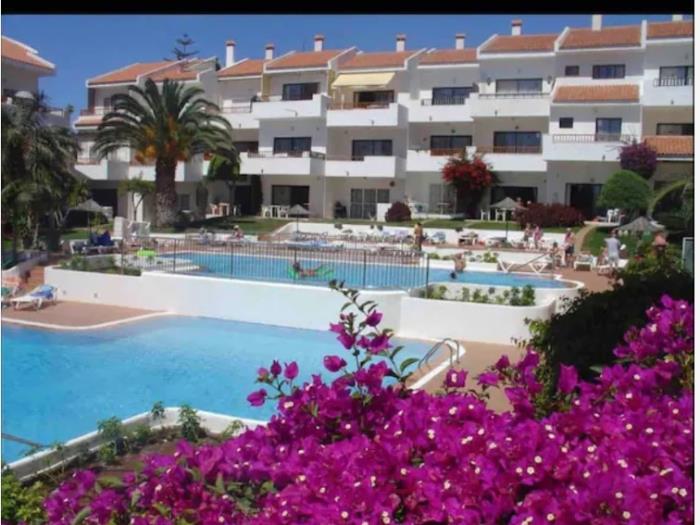 Live Los Cristianos Garden & Pool in Arona