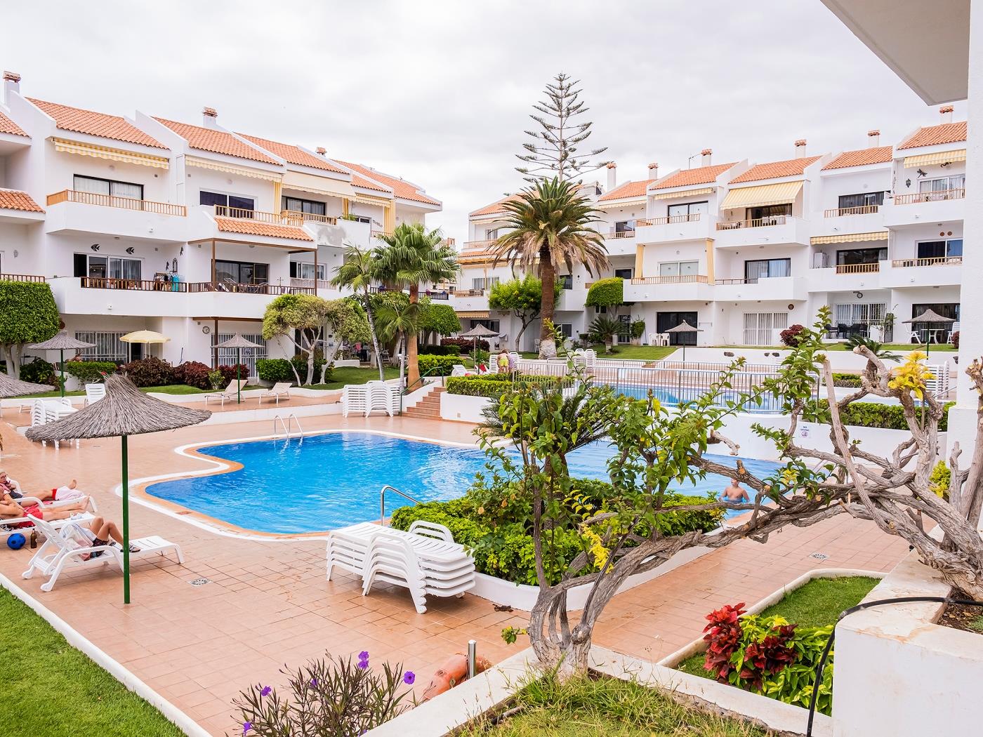 Live Los Cristianos Garden & Pool in Arona