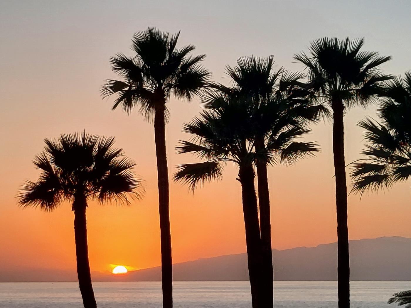 love boat (by experience holidays tenerife) in Callao Salvaje