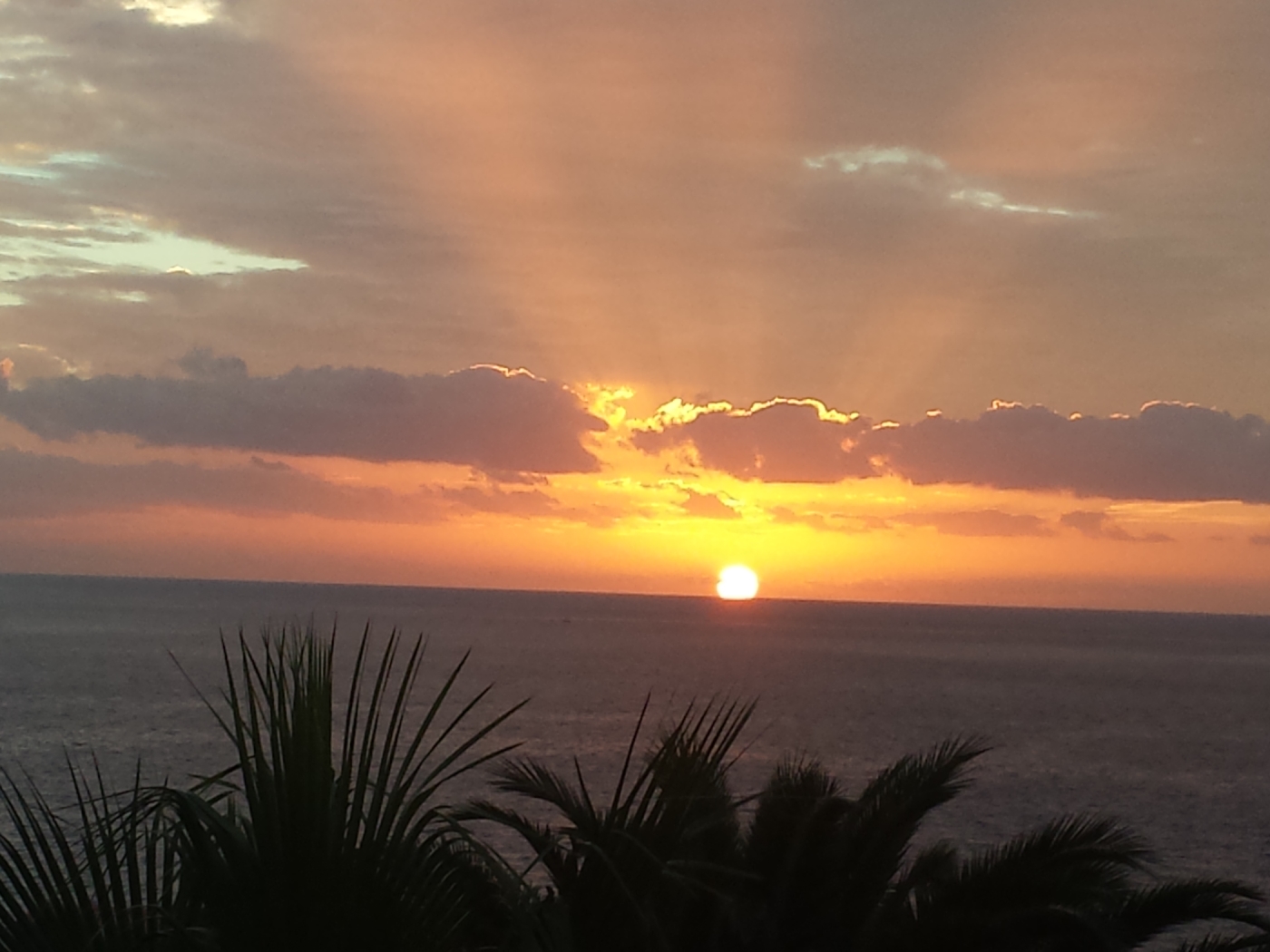blue dream experience (villa with heated, saltwater pool) in Callao Salvaje