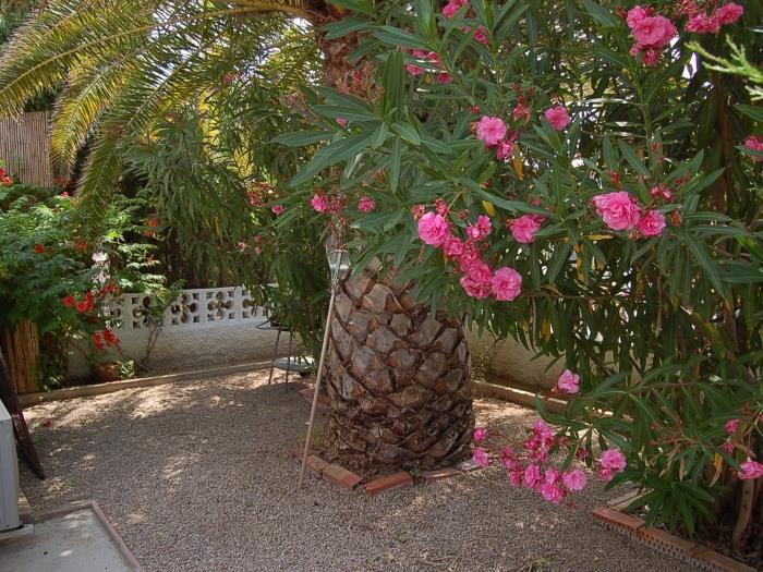 Casa Laurence avec la piscina privée à Riumar Deltebre