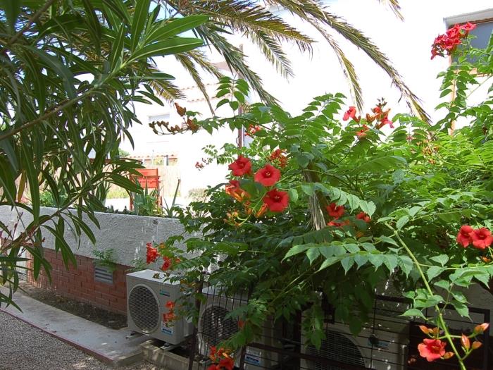 Casa Laurence amb piscina privada a Riumar Deltebre