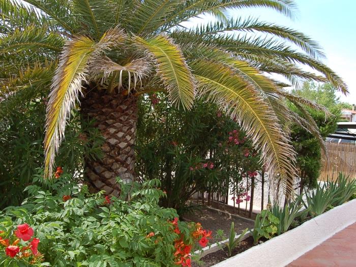 Casa Laurence avec la piscina privée à Riumar Deltebre