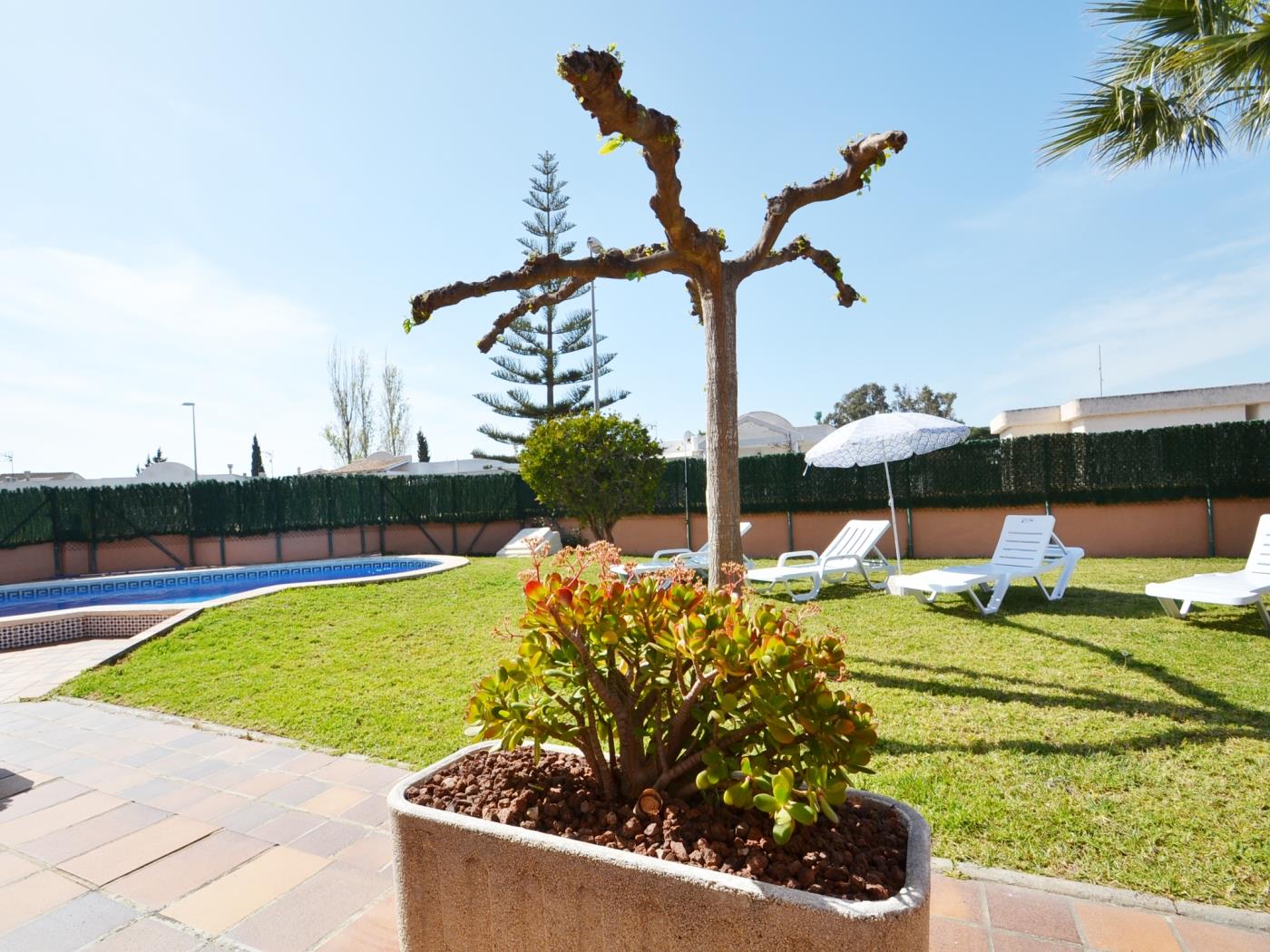 Casa Andrea con piscina privada en Riumar Deltebre