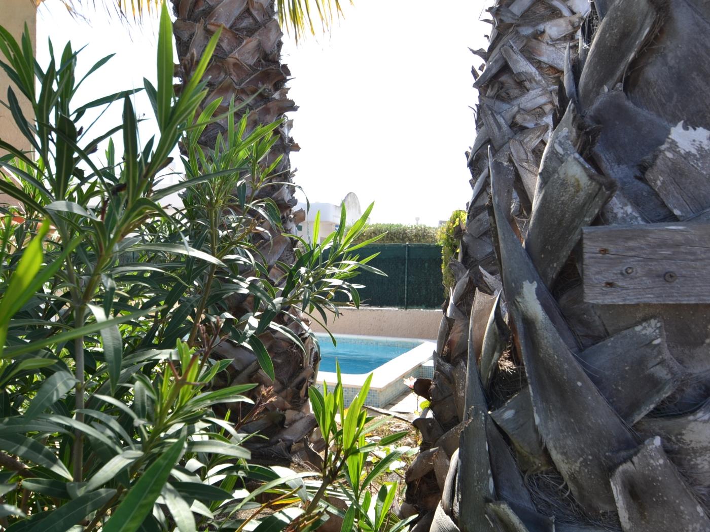 Casa Viva con piscina privada para 4/5 personas (sin apartamento) en Riumar Deltebre