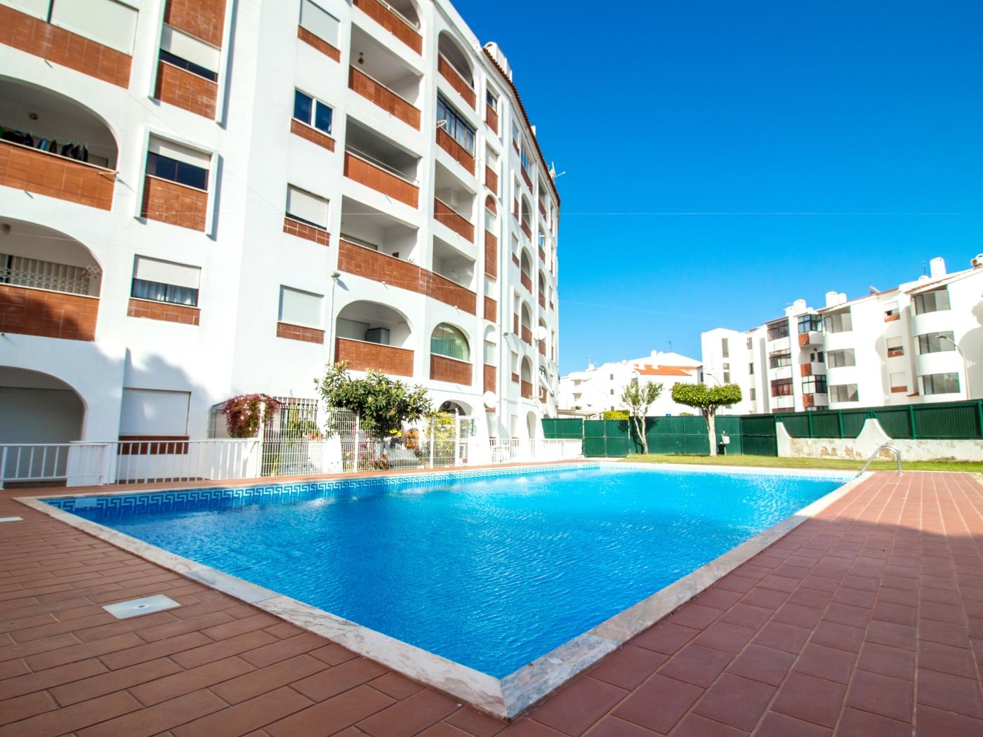 Ocean View Apartment | Pool and Sea View & Albufeira Center em Albufeira
