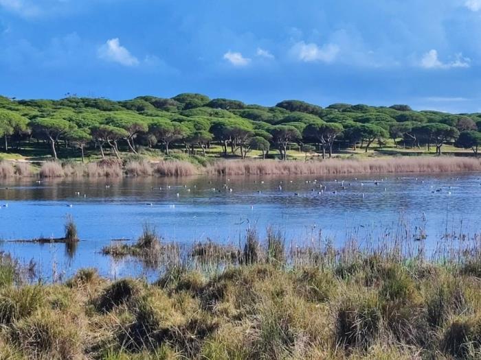 Bonjour House | Sea View & Pool and Garden & BBQ em Silves