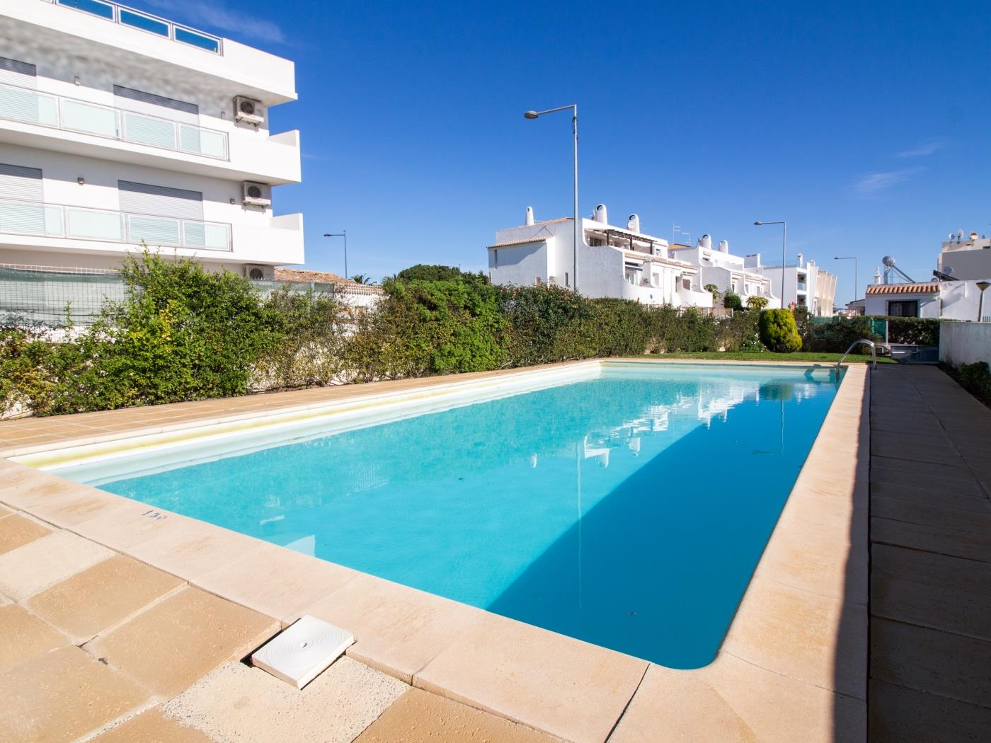 Rainbow House | Sea View & Pool & Garage & Garden in Albufeira