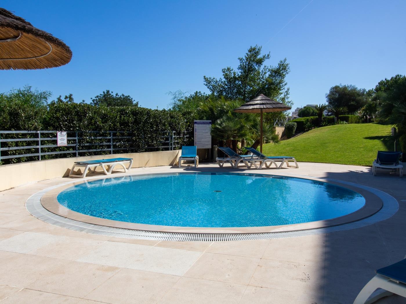 Corcovada Apartment | Pool View & Top Location & Albufeira in Albufeira