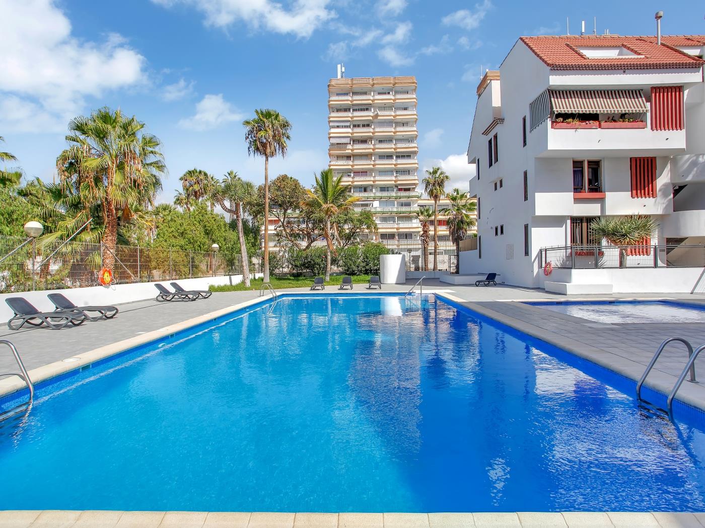 Charming Las Americas, Terrace, Fiber, Pool en PLAYA DE LAS AMERICAS