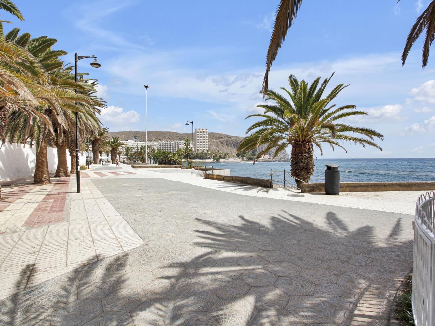 Stunning Holidays, SeaFront, On The Promenade en Los Cristianos