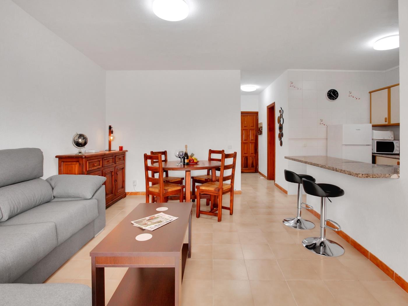 Superb Flat, Terrace 20m, 2Rooms, Pool, Wi Fi in COSTA DEL SILENCIO