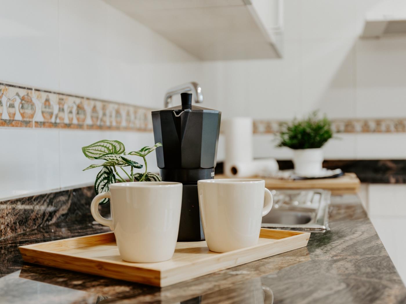 Casa verde en Logroño