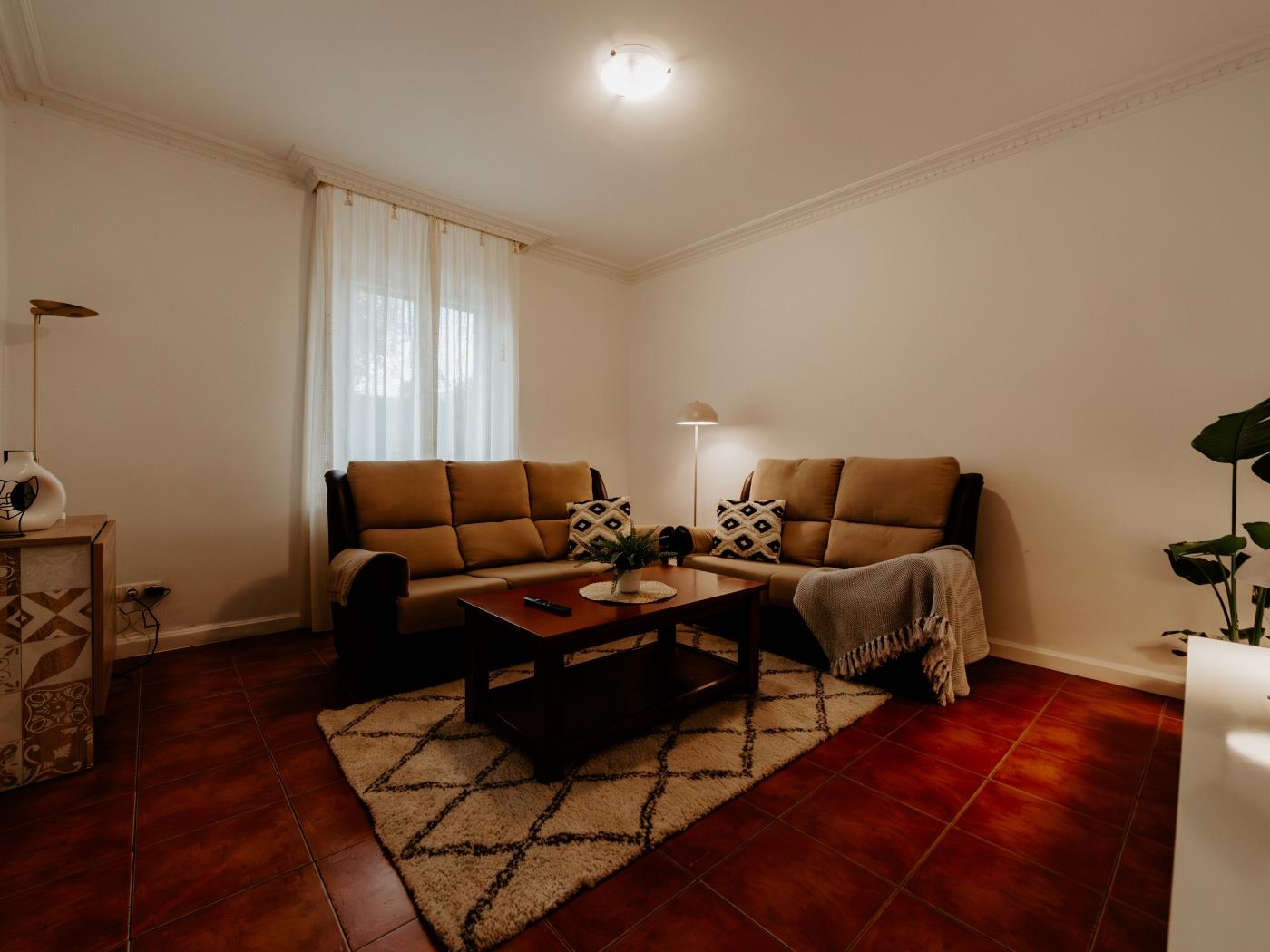 Casa verde en Logroño