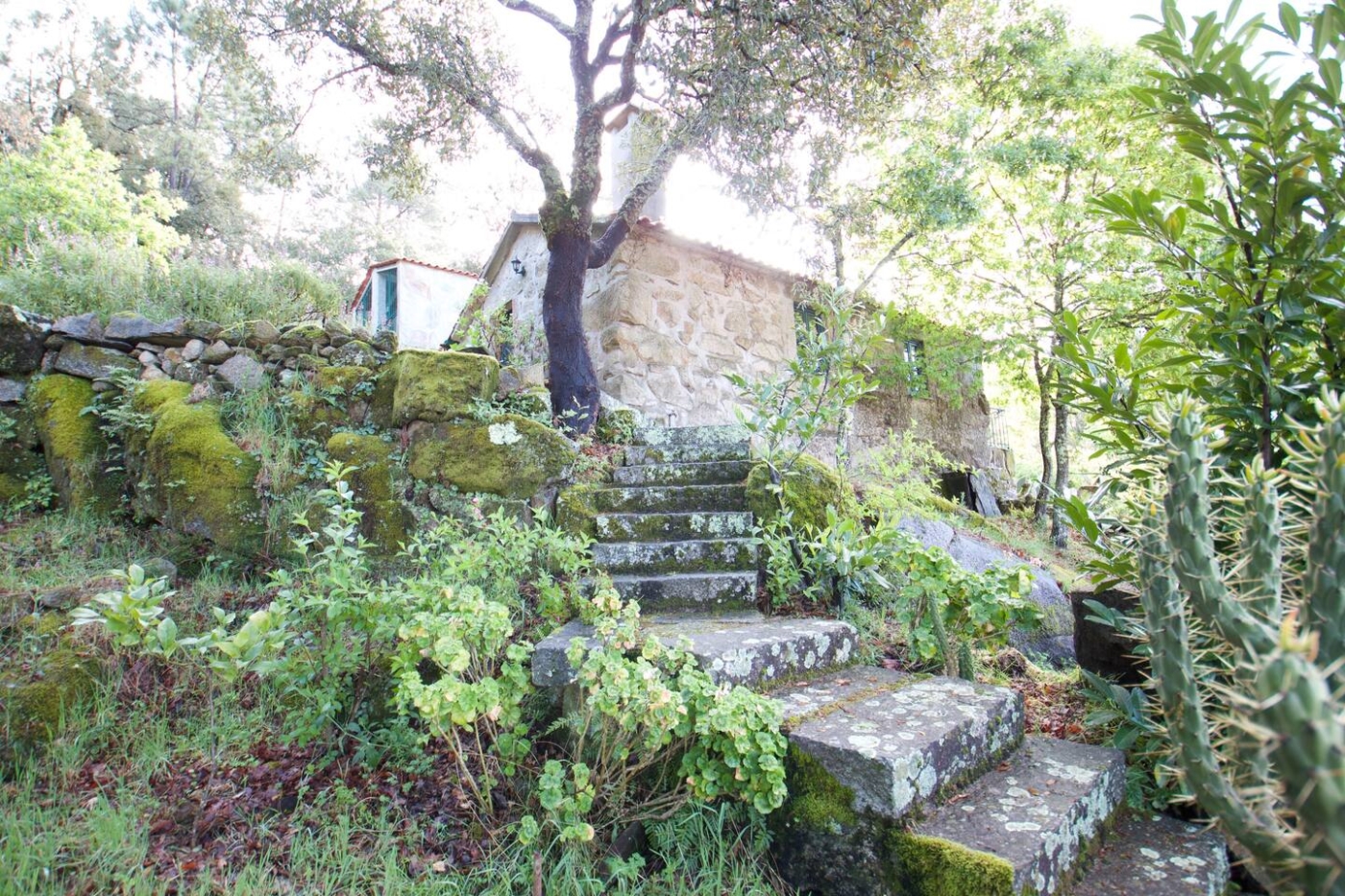 Casa da Eira - into the nature in Macieira de Alcôba