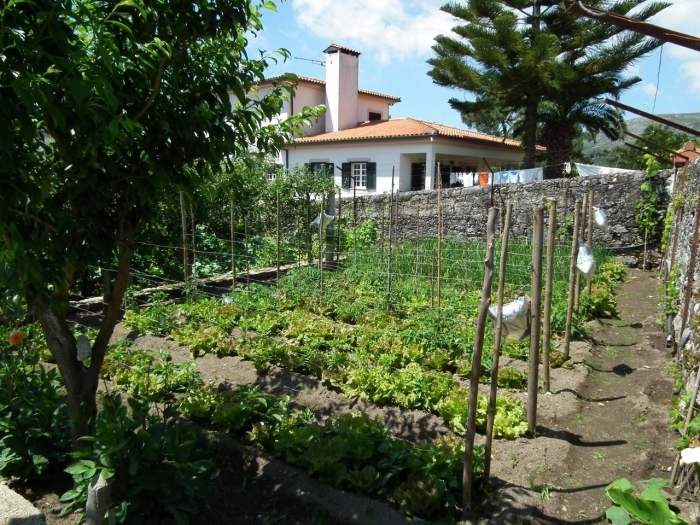 Casa Rosinha Menor - Pool & Garden en Riba de Âncora