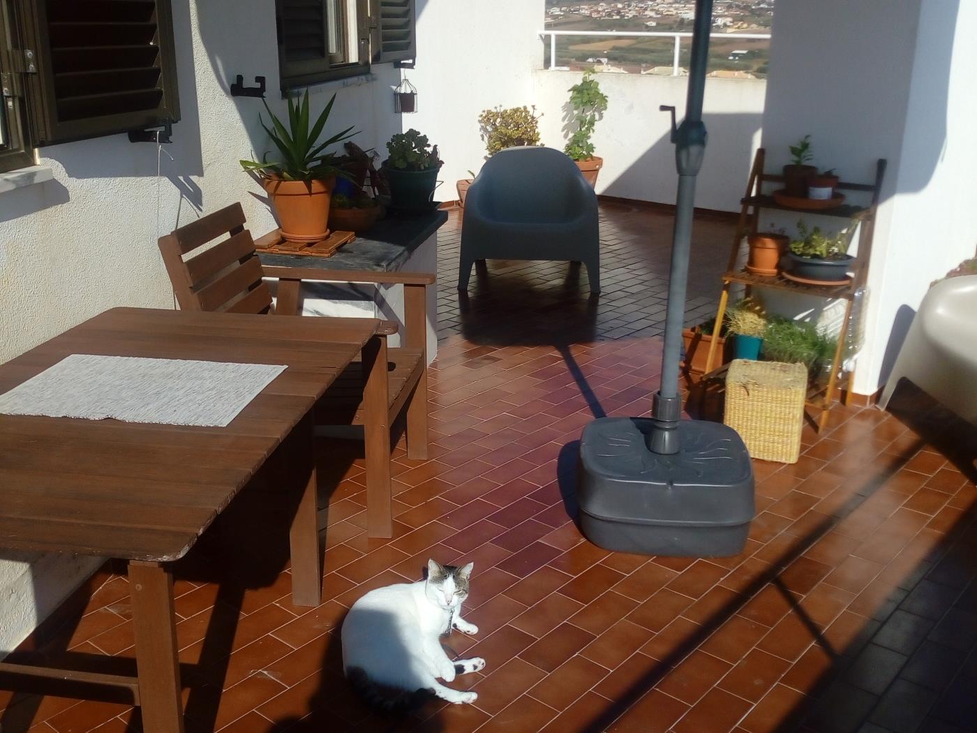 Casa da Torre Rooftop Terrace in Praia da Areia Branca