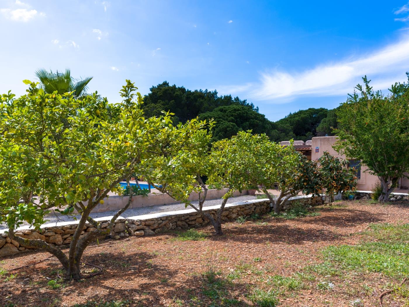 Can Mabel - Casa de campo con piscina cerca de la ciudad de Ibiza en Nostra Senyora de Jesus