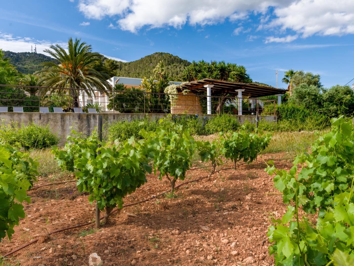 Can Pep Vicentet - House with pool and garden in Es Cubells in Sant Josep de sa Talaia