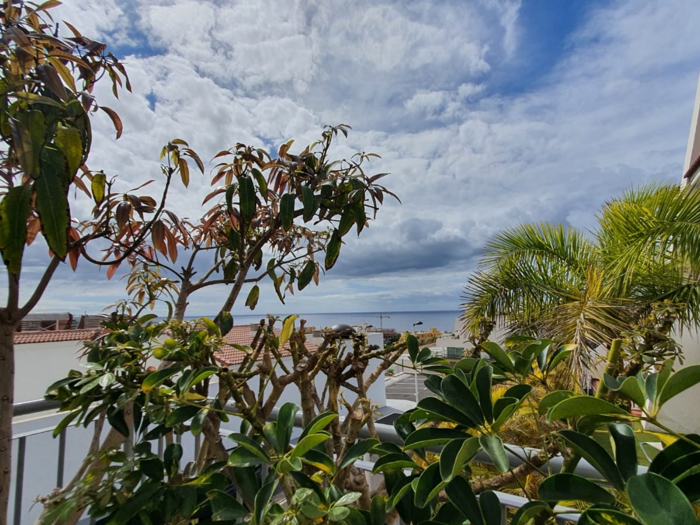 Apartamento de lujo en Magnolia en La Caleta