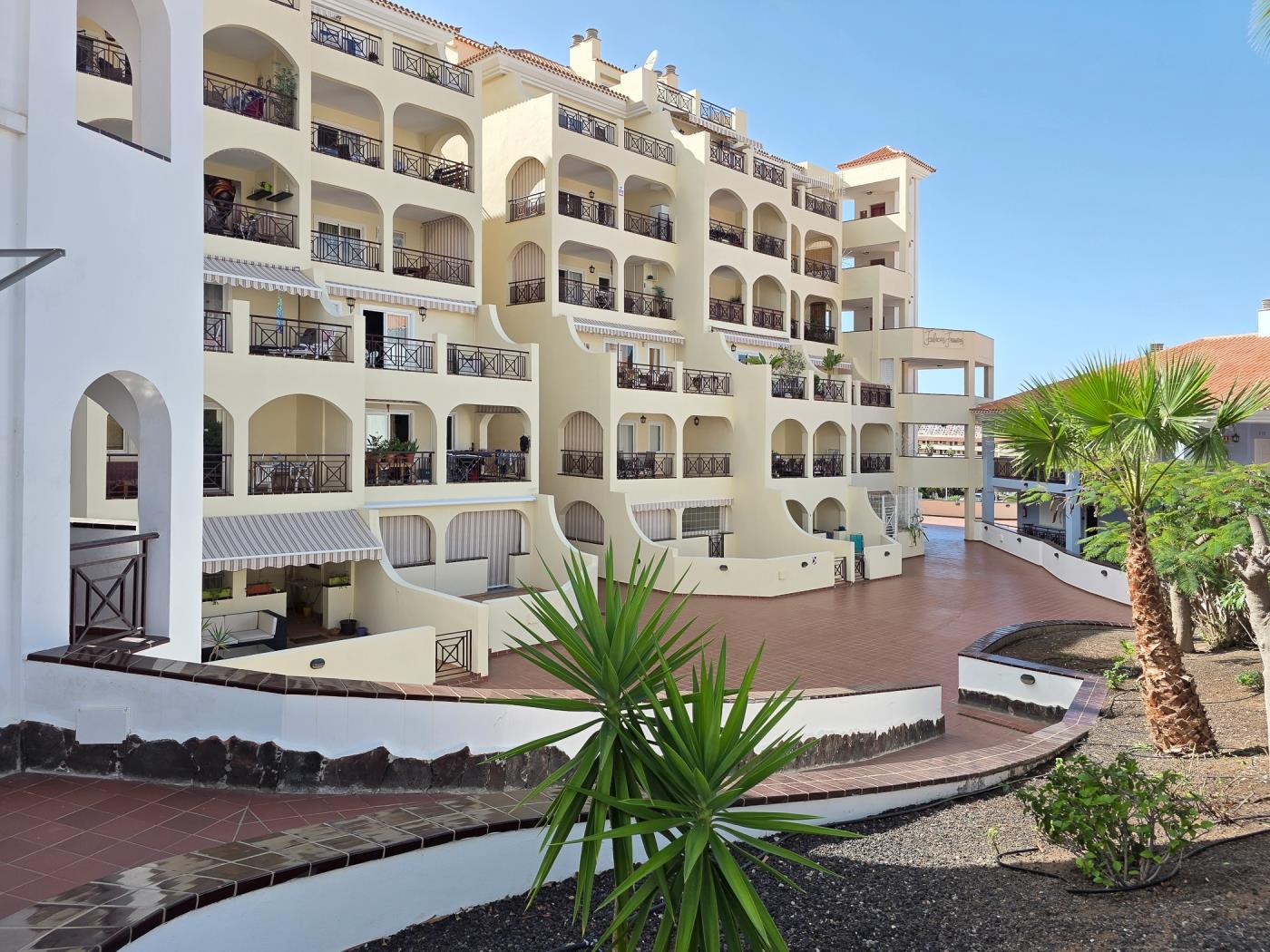 OBSIDIAN DINASTIA in Los Cristianos