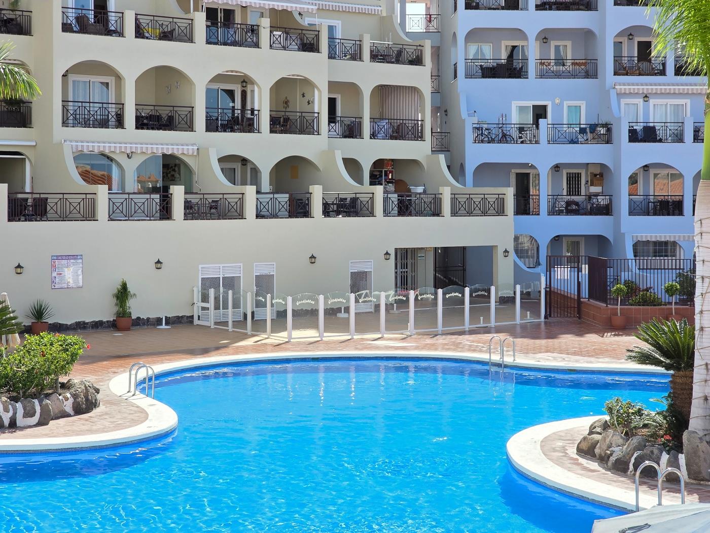 OBSIDIAN DINASTIA in Los Cristianos